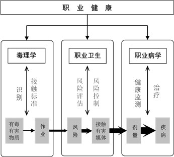 职业健康的组成